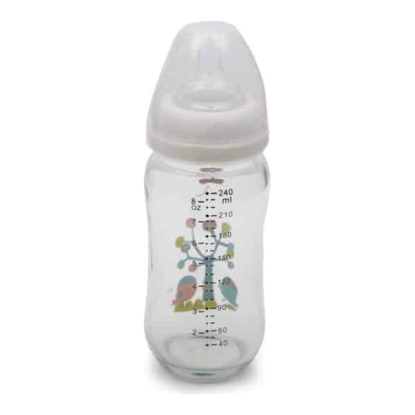 Βρεφικό Μπουκάλι Ασφαλείας Cangaroo 240ml Β0468