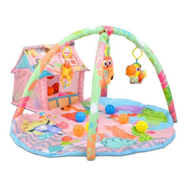 Βρεφικό γυμναστήριο Cangaroo Happy Farm Pink