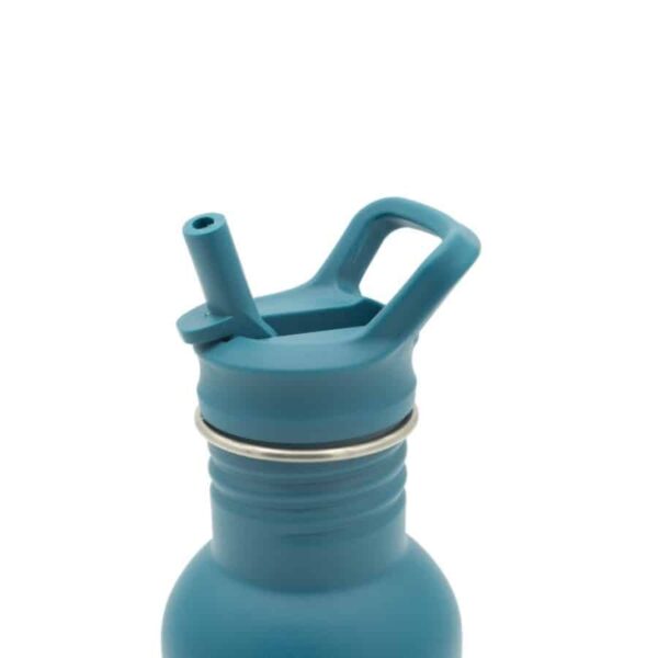 Ανοξείδωτο μπουκάλι με καλαμάκι 500ml Sassi Chewy the Elephant