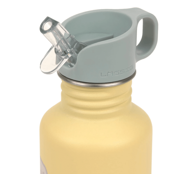Ανοξείδωτο Παγούρι 500ml Laessig Happy Trails Flower